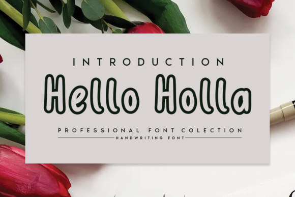 Hello Holla: A Designer's Honest Review