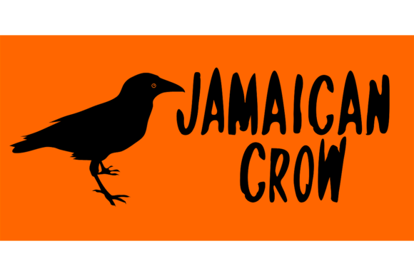 Jamaican Crow: A Unique Display Font Review