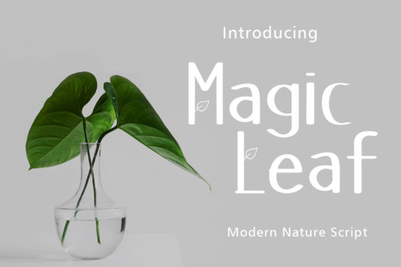 Magic Leaf: A Versatile Display Font for Modern Web Design