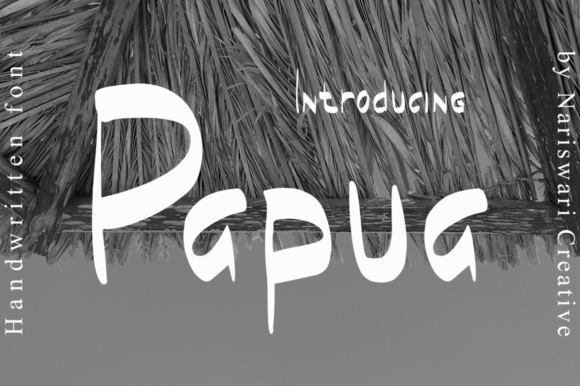 Papua: A Playful Display Font for Modern Brand Campaigns